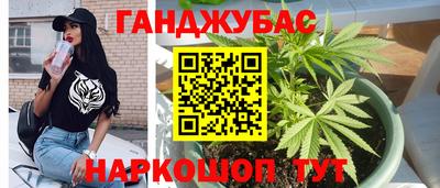 дживик Шелехов